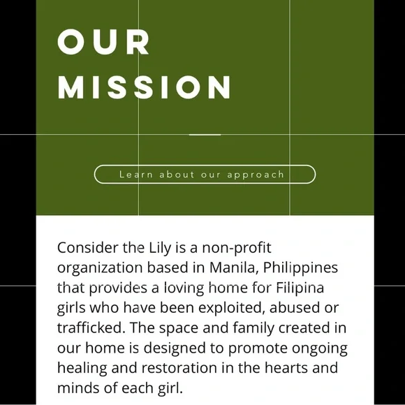 Posh Live Show Notification Flyer - Picture 9 of 12